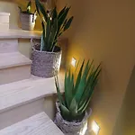 Casinha Mimosas 别墅