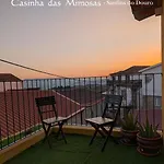 Casinha Mimosas * Sanfins do Douro