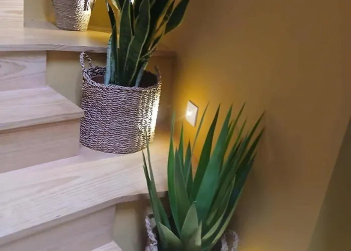 Casinha Mimosas Villa